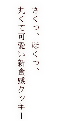 丸くて可愛い新食感クッキー